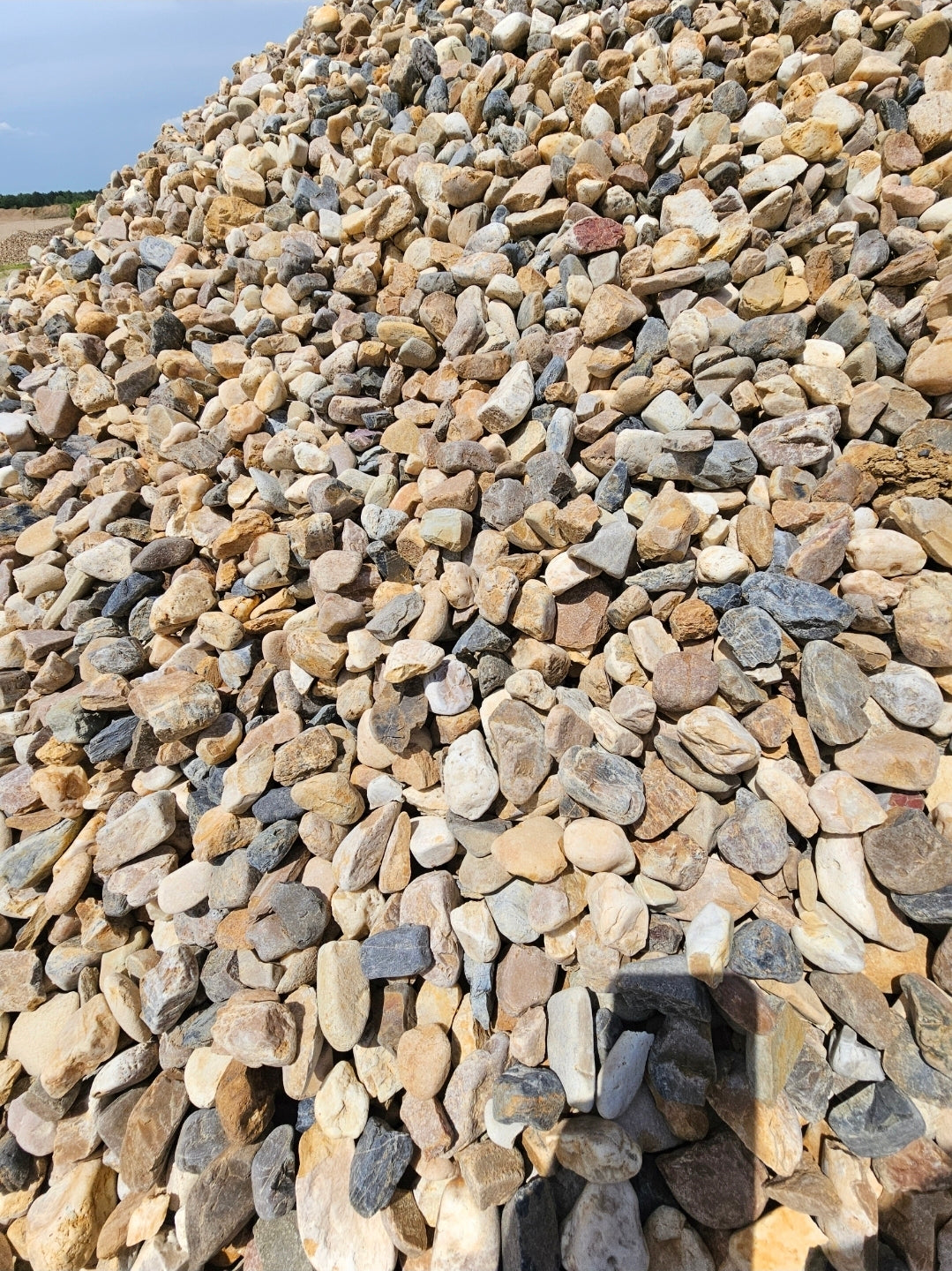 2.5" Pine Bark River Rock